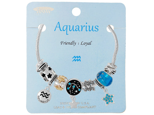 Zodiac Charm Bracelet - Aquarius