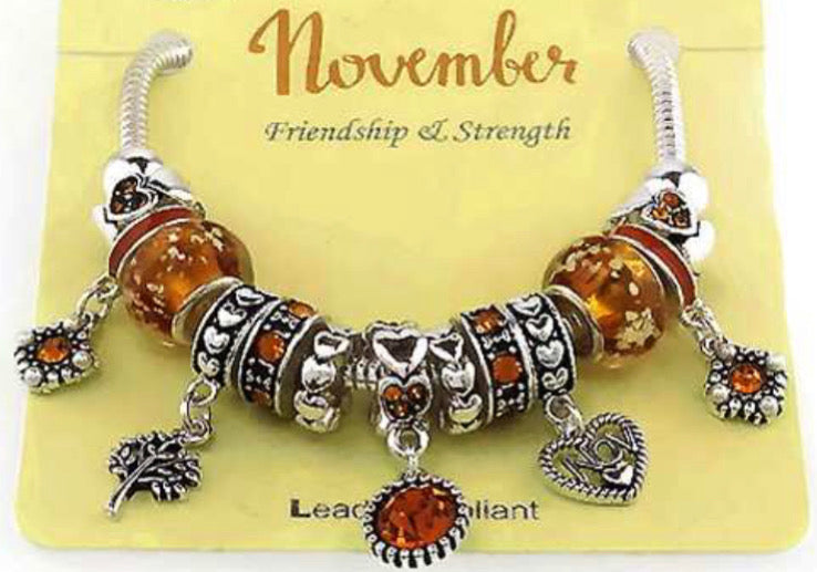 November Birth Stone Multi Bead and Charm Gift Bracelet