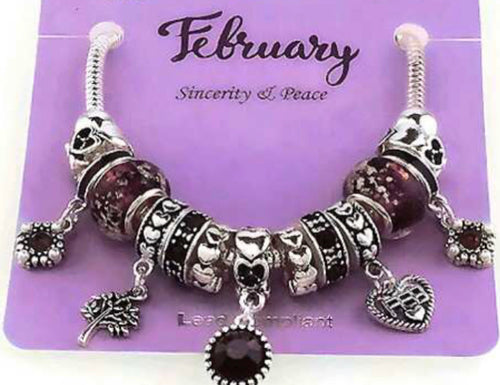 February Birth Stone Multi Bead and Charm Gift Bracelet